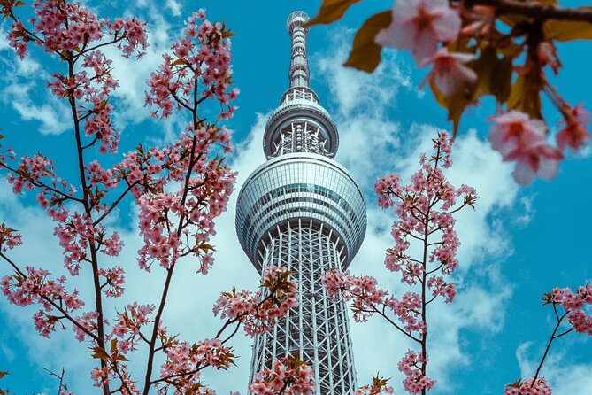 Tokyo Private Sightseeing Tour by Car- English speaking chauffeur - Takeshita Street and Omotesando: two sides of Harajuku
