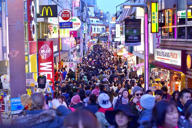 Tokyo Private Sightseeing Tour by Car- English speaking chauffeur - Odaiba: waterfront space and a long cross-city drive