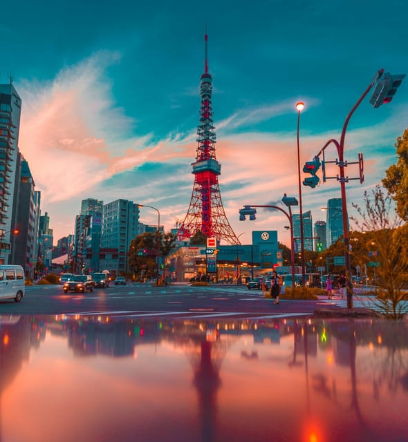 Tokyo: Private Tailored Tour with a Local Guide - Why a private Tokyo guide can be worth the cost
