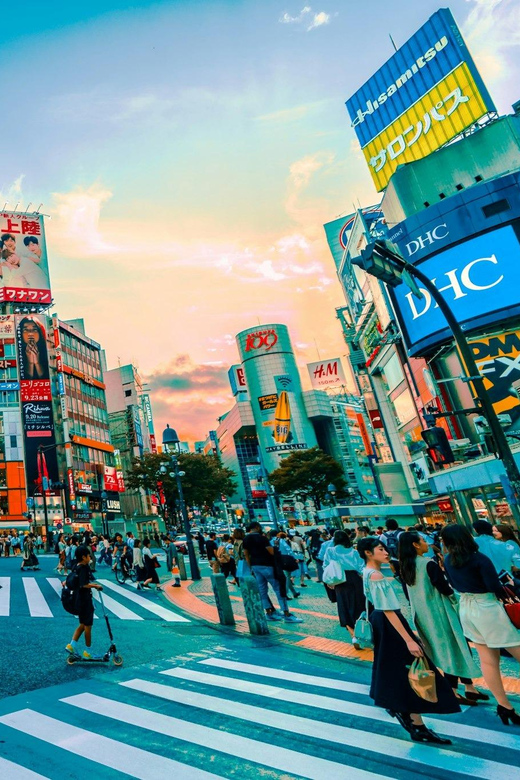 Tokyo: Private Tailored Tour with a Local Guide - Crossing Shibuya with Hachiko nearby