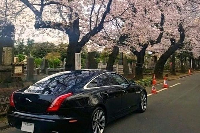 Tokyo Private Tour by Vehicle with English-Speaking Chauffeur - Why a private car works well in sprawling Tokyo