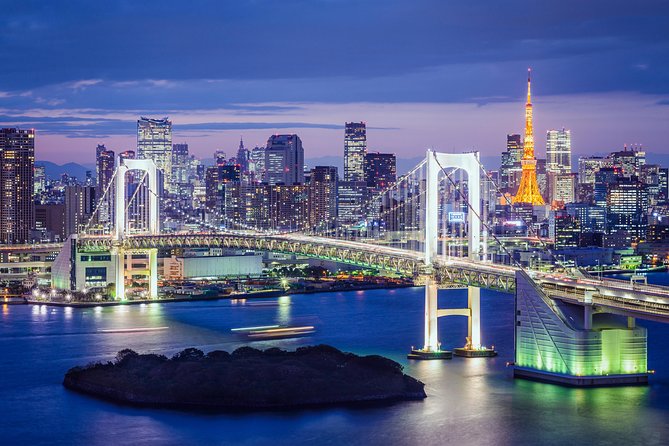 Tokyo Private Tour by Vehicle with English-Speaking Chauffeur - Meiji Jingu and the forested shrine setting