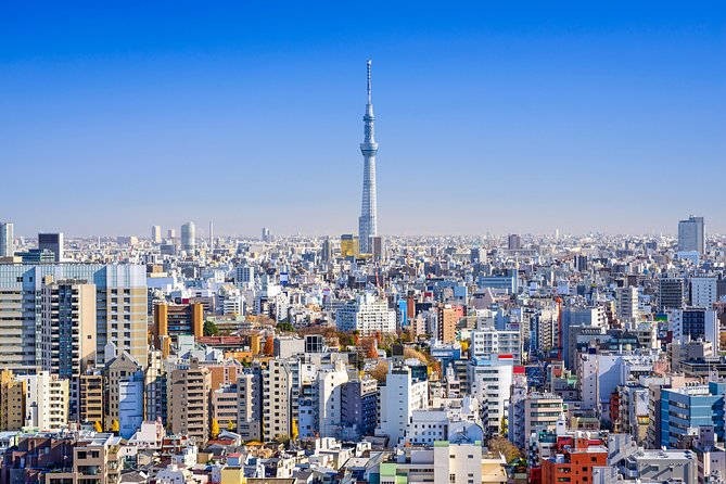 Tokyo Private Tour by Vehicle with English-Speaking Chauffeur - Shibuya Crossing and Harajuku’s Takeshita Street