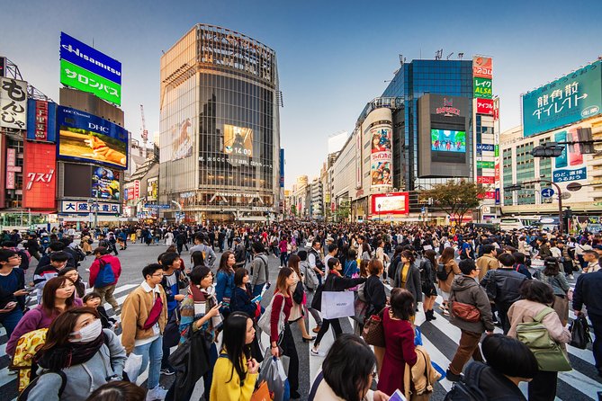 Tokyo Private Tour by Vehicle with English-Speaking Chauffeur - What the chauffeur actually does
