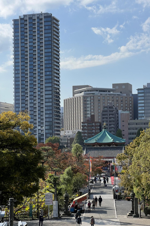 TOKYO Private visit guide Speaking French - Details to Set Before You Meet