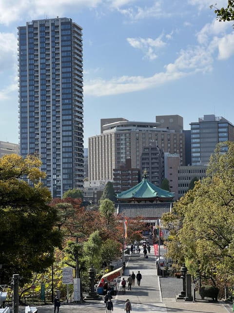 TOKYO Private visit guide Speaking French - What the Five Hours Can Include