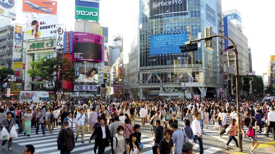 Tokyo: Private Walking Tour with a Local - Shinjuku, Shibuya, and the modern side of Tokyo