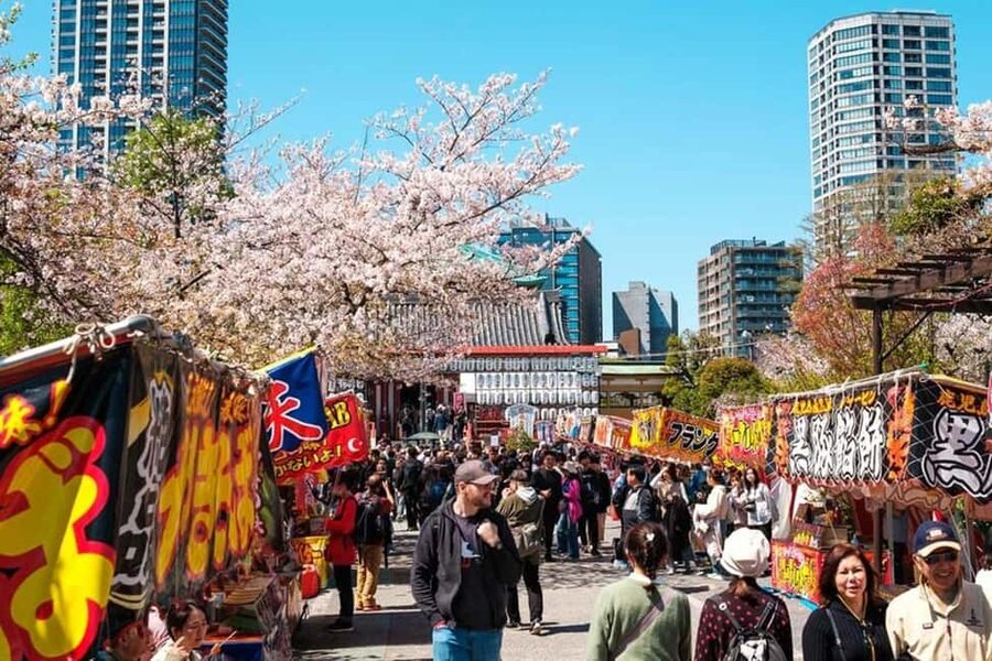 Tokyo: Private Walking Tour with a Local Guide - Ginza and the Imperial Palace: polished streets and national symbols