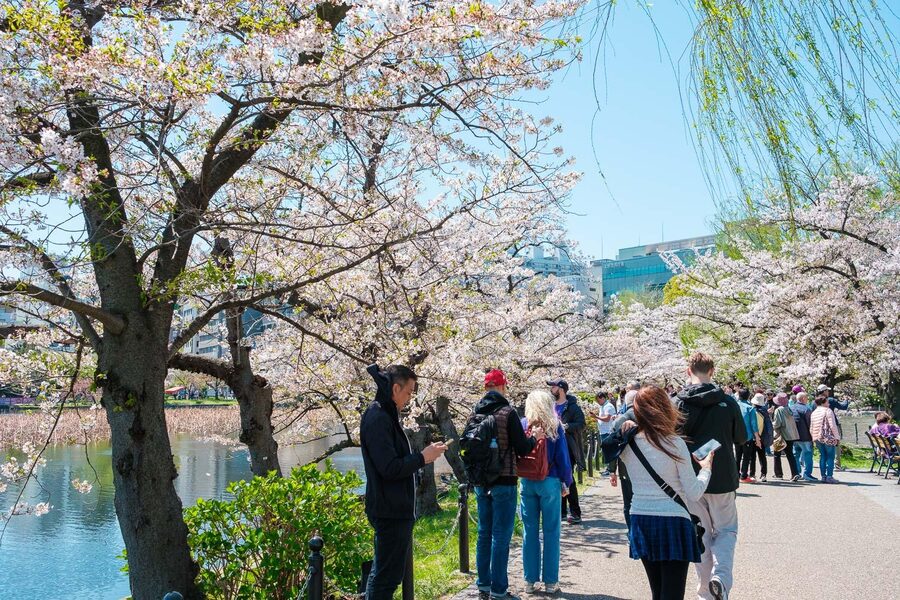 Tokyo: Private Walking Tour with a Local Guide - Ueno and Ameya-Yokocho: markets, temples, and local color