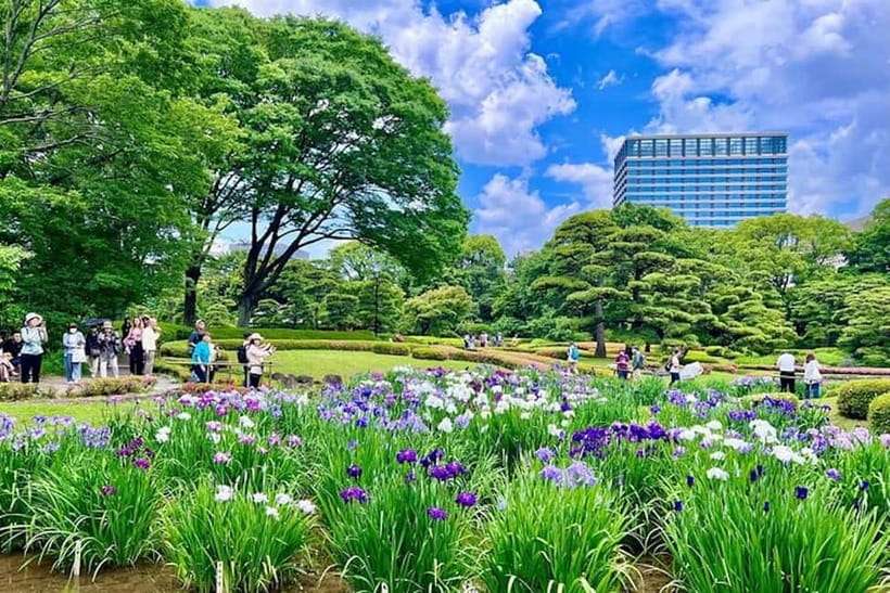 Tokyo: Pvt. Tour - Edo Castle & Imperial Palace East Gardens - Is the $63 price good value?