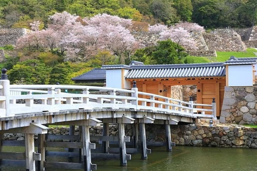 Tokyo: Pvt. Tour - Edo Castle & Imperial Palace East Gardens - What this tour does not include