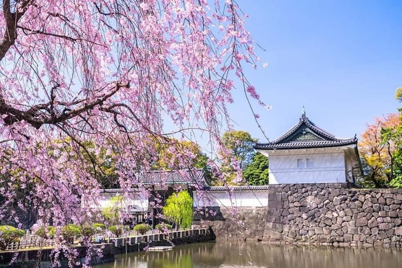 Tokyo: Pvt. Tour - Edo Castle & Imperial Palace East Gardens - Meeting at Wadakura Fountain Park