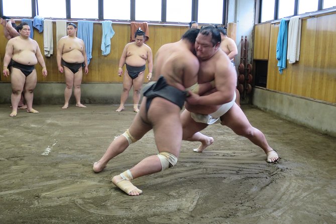 Tokyo Ryogoku Sumo Morning Practice + Photo Shoot with Wrestlers - Key points to know before booking