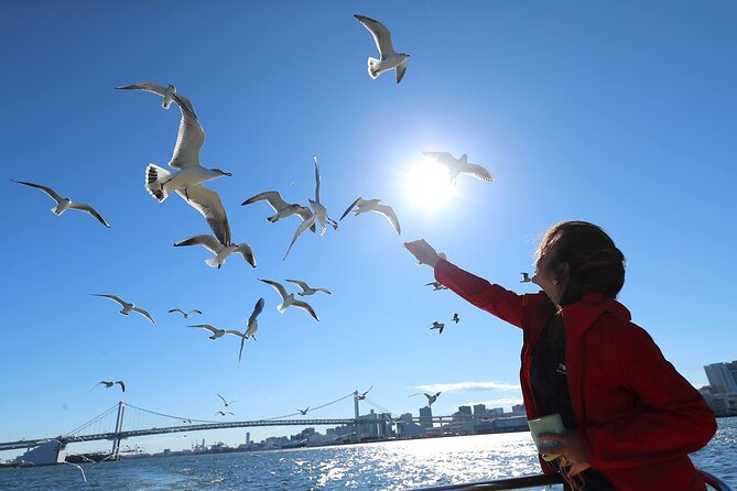 Tokyo: Scenic Bay Cruise with Local Guide on Private Boat - Why Tokyo Bay is worth seeing from a boat