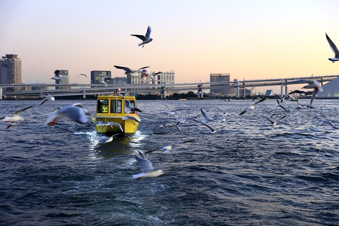 Tokyo: Scenic Bay Cruise with Local Guide on Private Boat - Is $38 a fair price for one hour?