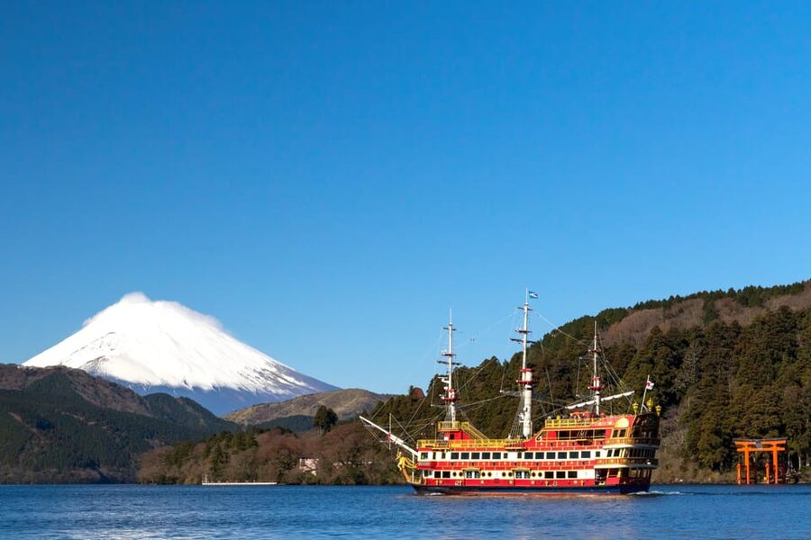Tokyo: Spring Hitachi Seaside & Ashikaga Flower Park Tour - What the guides add