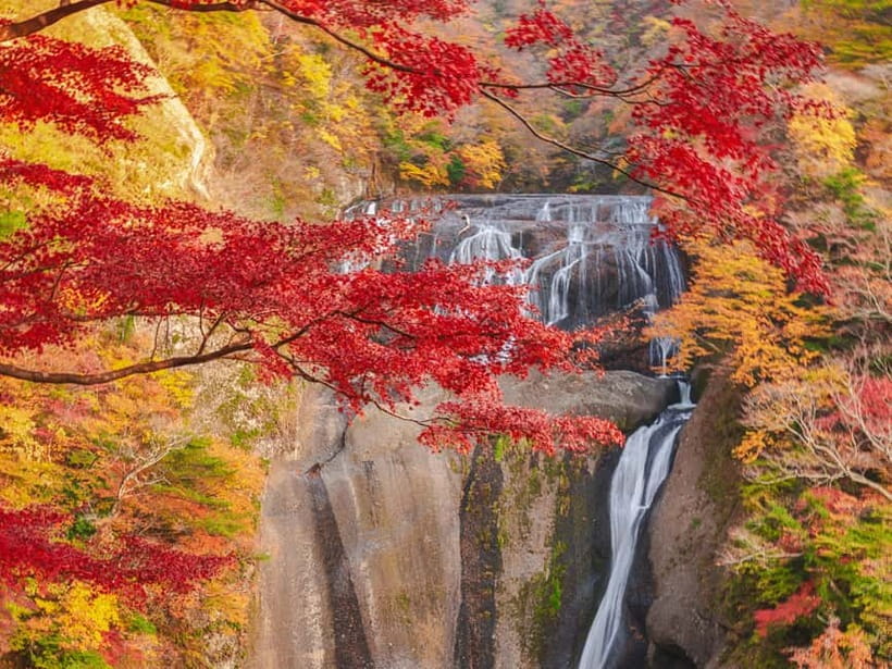 Tokyo: Spring Hitachi Seaside & Ashikaga Flower Park Tour - Starting in Tokyo and settling into the coach