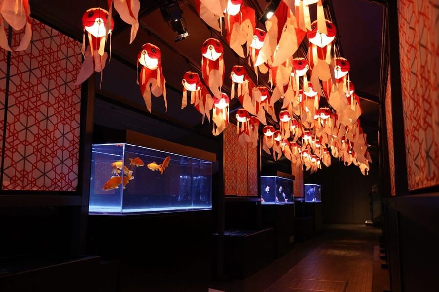 Tokyo: Sumida Aquarium Entry Ticket - Hours, timing, and the best way to plan your visit