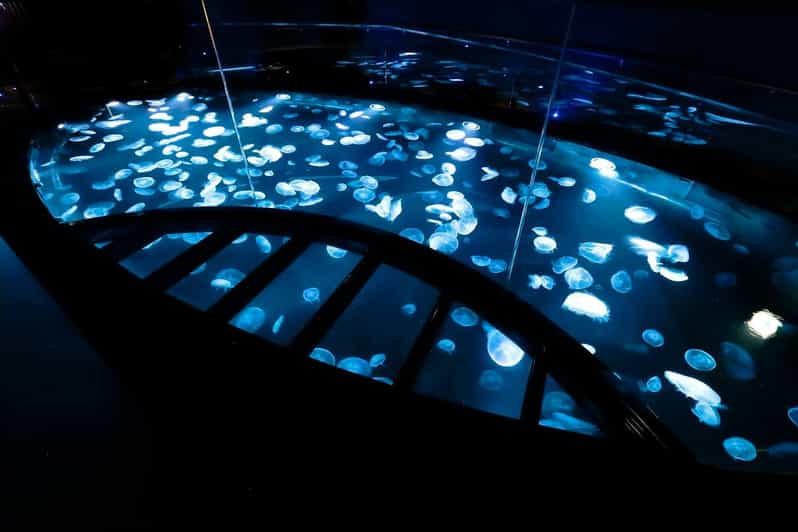 Tokyo: Sumida Aquarium Entry Ticket - What the one-day ticket gives you
