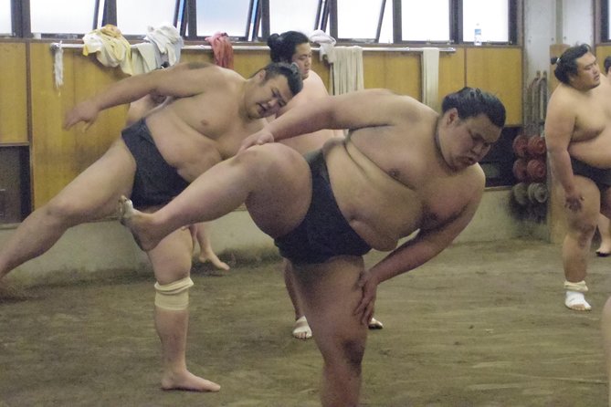 Tokyo Sumo Morning Practice Tour at Stable - The Guide and Headset Commentary