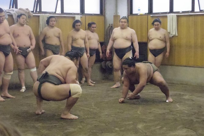 Tokyo Sumo Morning Practice Tour at Stable - Summer Heat and Other Practical Limits