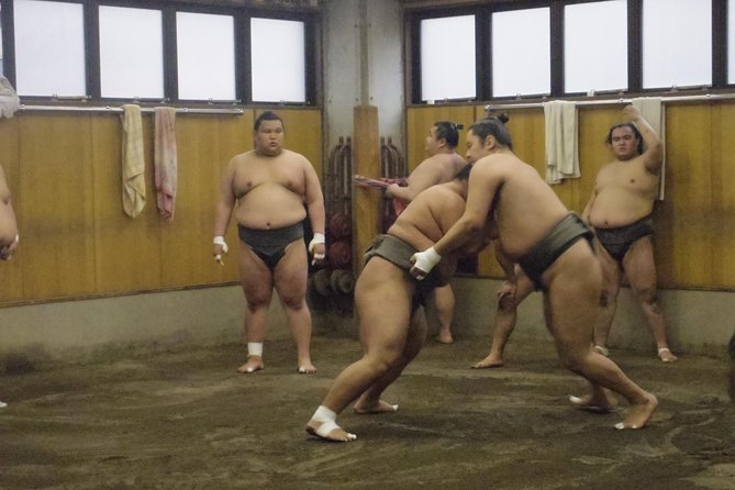 Tokyo Sumo Morning Practice Tour at Stable - Who Will Enjoy This Sumo Morning Most?