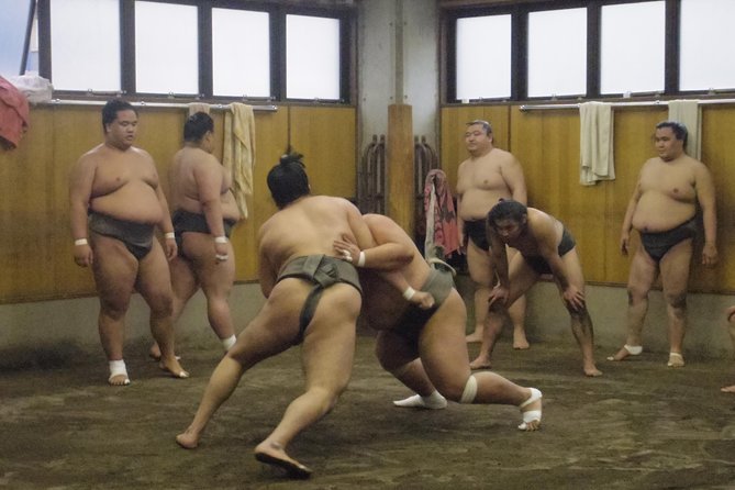 Tokyo Sumo Morning Practice Tour at Stable - Meeting at Ryogoku Station Gallery at 7:45am