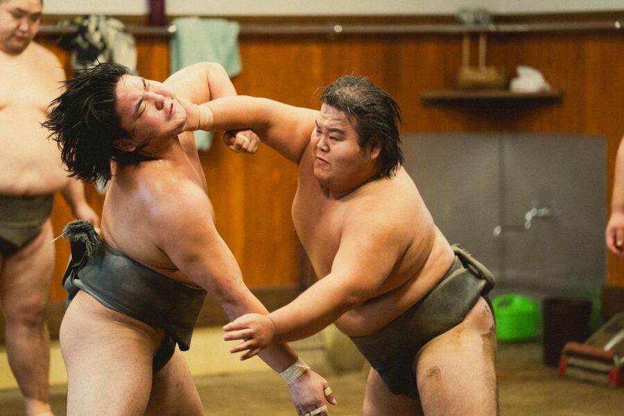 Tokyo: Sumo Morning Practice Tour at Sumida City - Key points to know before booking