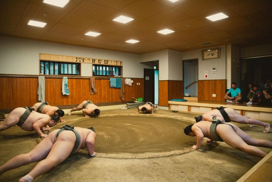 Tokyo: Sumo Morning Practice Tour at Sumida City - How much value do you get for $116?