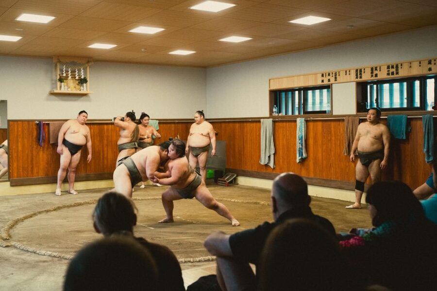 Tokyo: Sumo Morning Practice Tour at Sumida City - When this tour fits your Tokyo plans