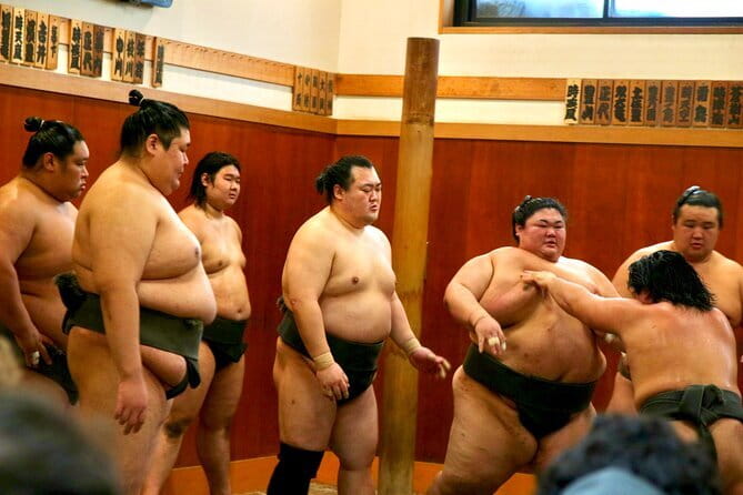 Tokyo Sumo Morning Practice: Viewing & Exclusive Interaction - Meeting at Narihira Park before the stable visit