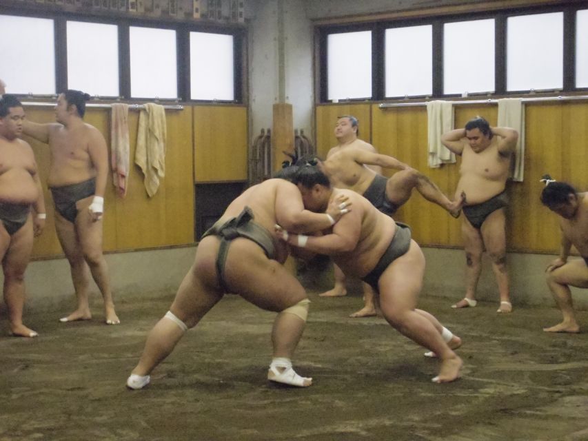 Tokyo: Sumo Morning Practice Viewing Tour - Key points to know before booking