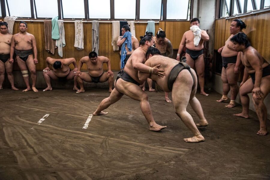 Tokyo: Sumo Morning Practice Viewing Tour - Seating, group size, and the best view