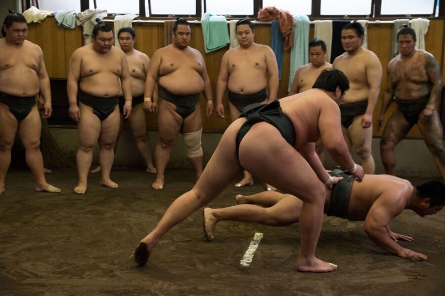 Tokyo: Sumo Morning Practice Viewing Tour - Meeting the stable master and wrestlers
