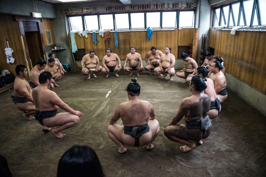 Tokyo: Sumo Morning Practice Viewing Tour - Is $81 a fair price?