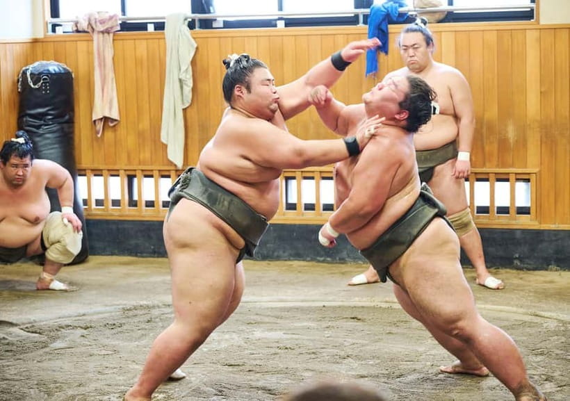 Tokyo: Sumo Morning Practice Viewing Tour at a Real Stable - Practical ways to make the visit better