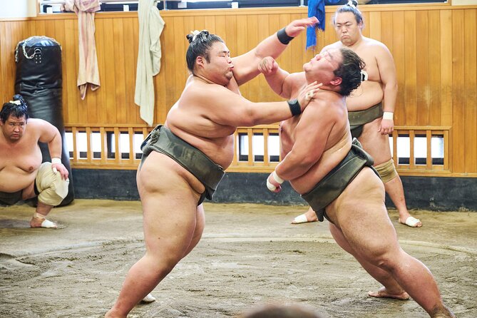 Tokyo: Sumo Morning Practice Viewing Tour at a Real Stable - Why a sumo stable is different from a tournament