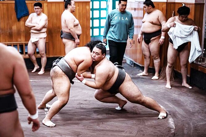 Tokyo: Sumo Morning Practice Viewing Tour at a Real Stable - A glimpse of the sumo lifestyle