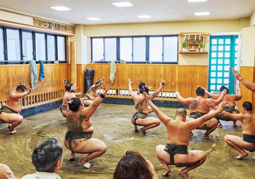Tokyo: Sumo Morning Practice Viewing Tour at a Real Stable - Who will get the most from this experience