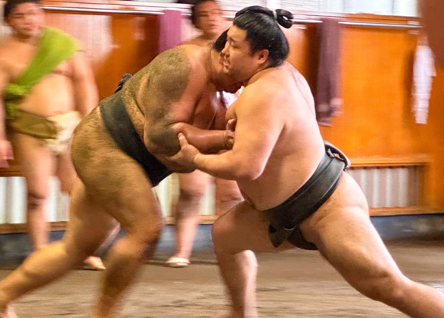 Tokyo: Sumo Morning Practice with journalists. Not fake show - Inside Takasago-beya during morning training