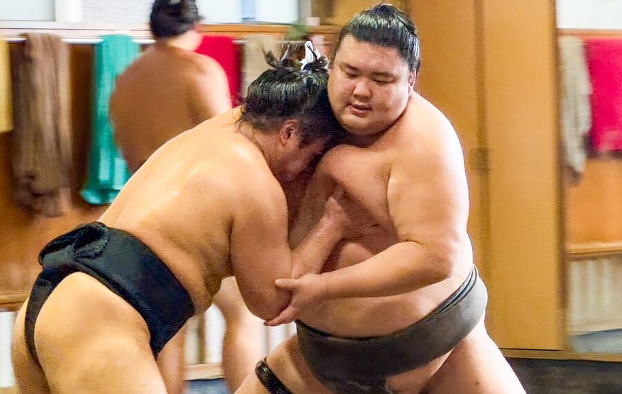 Tokyo: Sumo Morning Practice with journalists. Not fake show - Meeting in Ryogoku before the stable visit