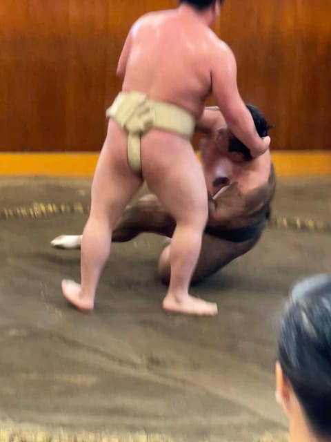 Tokyo: Sumo Morning Practice with Photo Banzuke and Guide - Why a morning stable visit feels different from a tournament