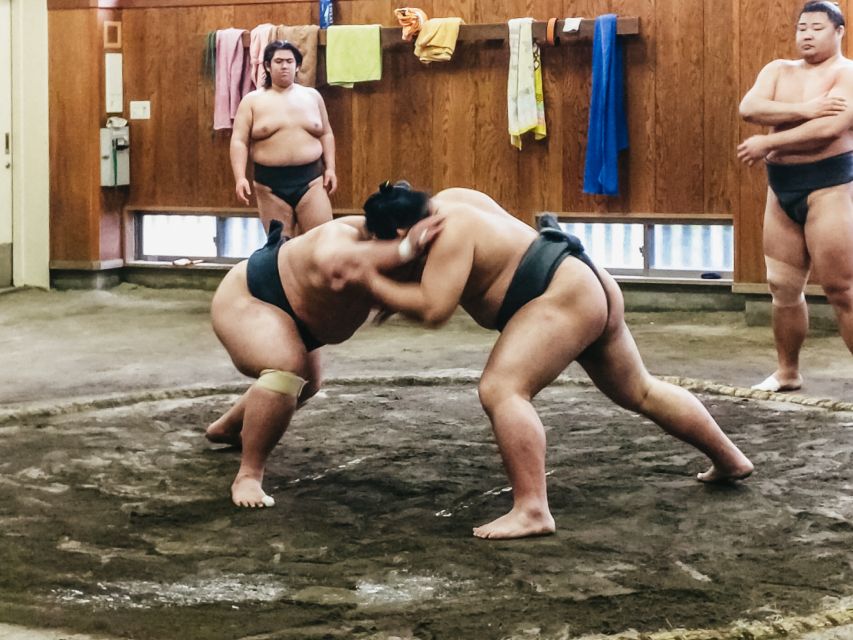 Tokyo: Sumo Morning Training Visit - Inside a real Tokyo sumo stable