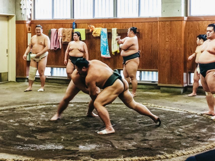 Tokyo: Sumo Morning Training Visit - Timing around the Tokyo Grand Sumo Tournament