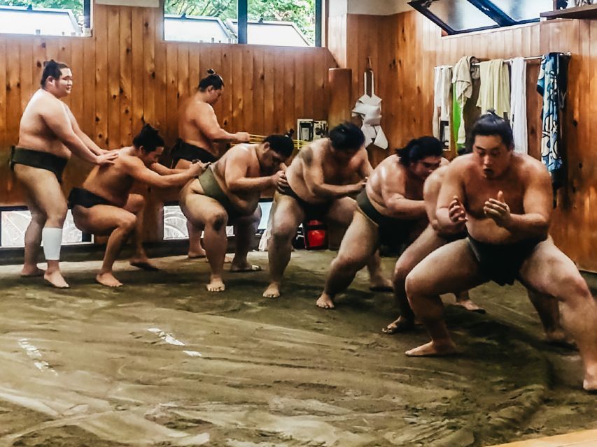 Tokyo: Sumo Morning Training Visit - Is $77 a fair price?