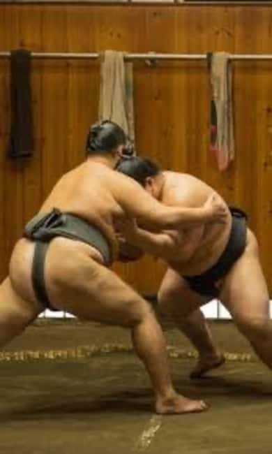 Tokyo: Sumo Show and Experience in Shinjuku - Key points to know before you book