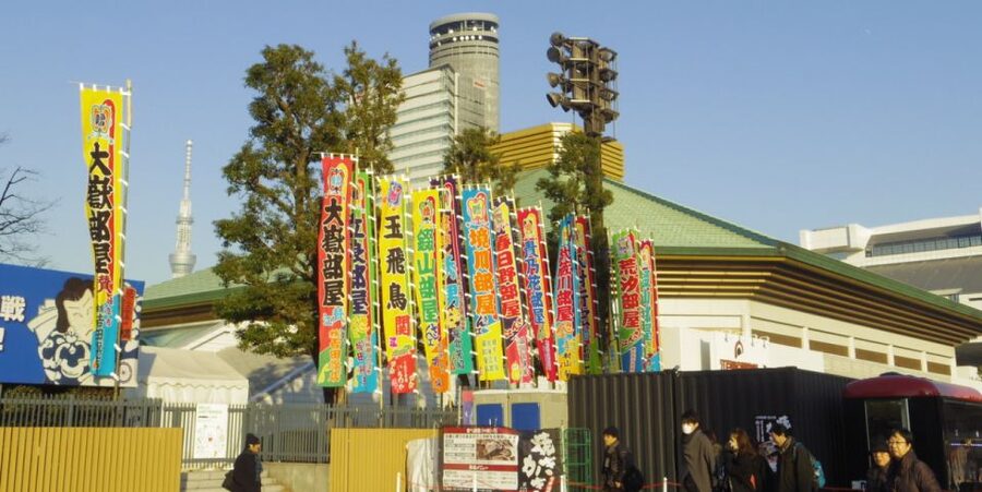 Tokyo: Sumo Tournament Tour with Chair Seat Tickets - Why a Tokyo sumo tournament is worth making time for