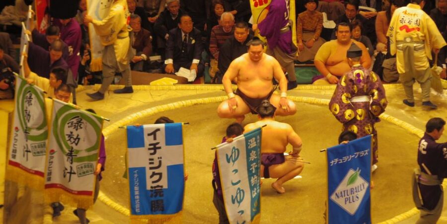 Tokyo: Sumo Tournament Tour with Chair Seat Tickets - Is $141 a fair price for the ticket?