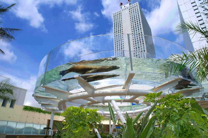 Tokyo: Sunshine Aquarium Entry Ticket - A rooftop aquarium in the middle of Ikebukuro
