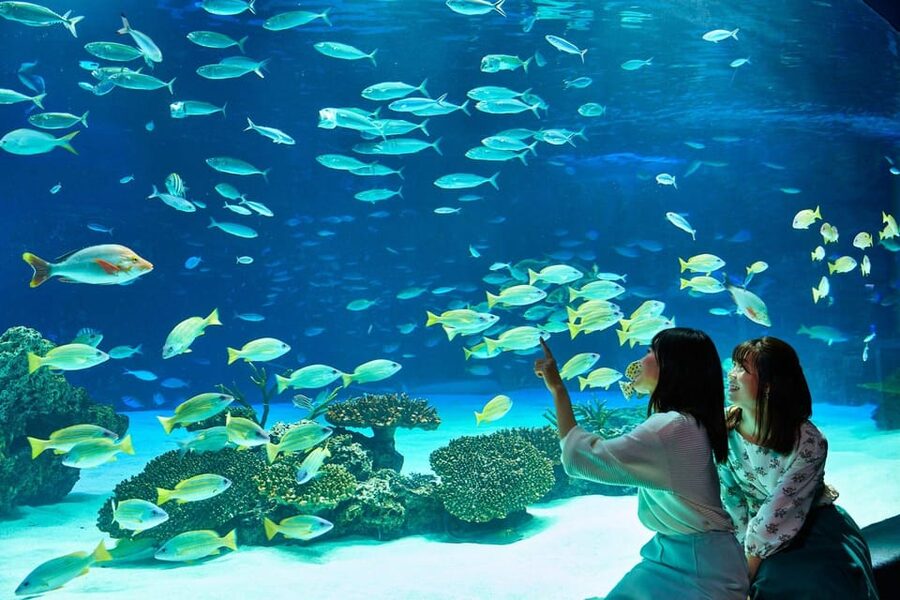 Tokyo: Sunshine Aquarium Entry Ticket - Water, greenery, and a tropical resort feeling